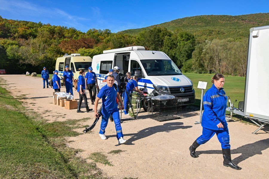 В Севастополе проходят межрегиональные учения по ликвидации условного очага особо опасной инфекционной болезни животных