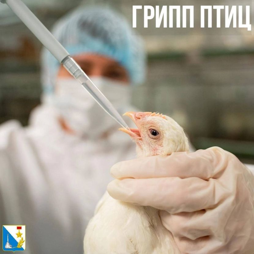 Госветслужба информирует!