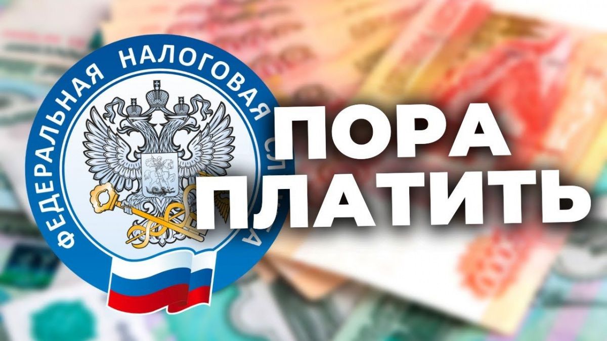 Севастопольцы, не забудьте уплатить налог!