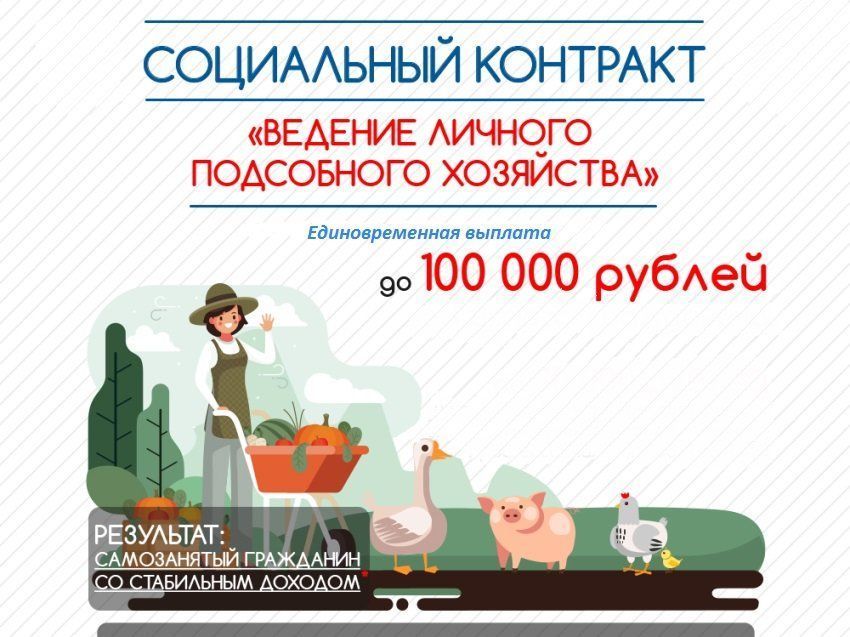 На ведение личного подсобного хозяйства севастопольцы могут получить до 100 тысяч рублей