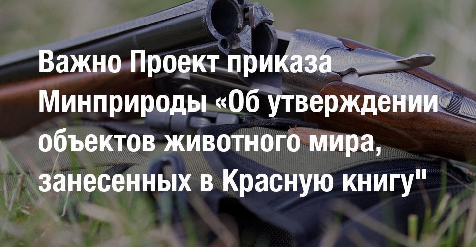 Информация об ответственности за уничтожение редких и находящихся под угрозой исчезновения видов животных, занесенных в Красную книгу Российской Федерации
