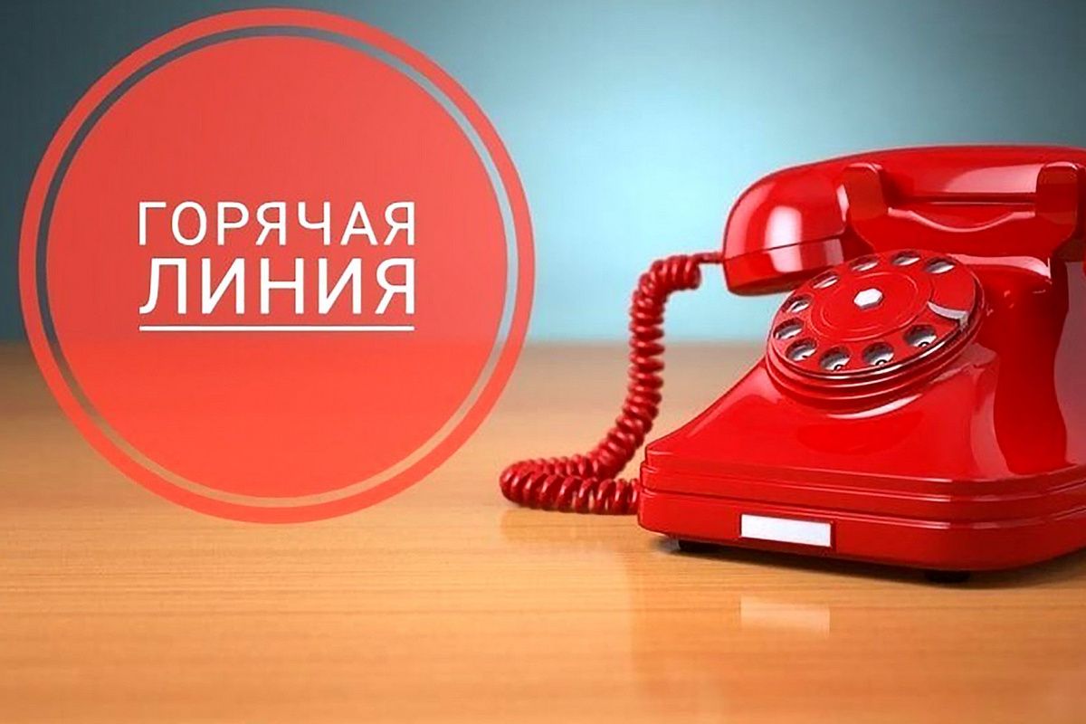 По вопросам автобусного сообщения работает горячая линия