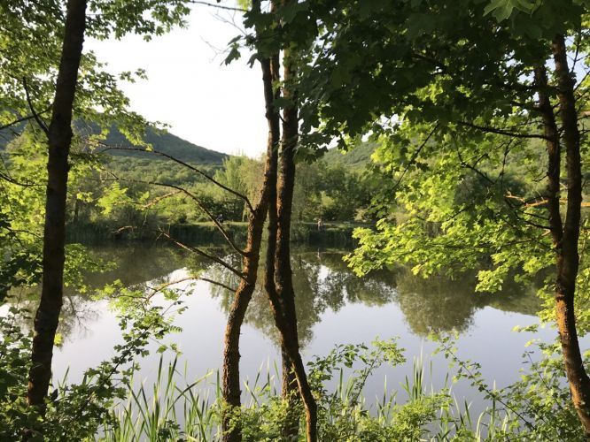 Финансирование госпрограммы Севастополя «Экология и охрана окружающей среды» увеличат за счет федерального бюджета