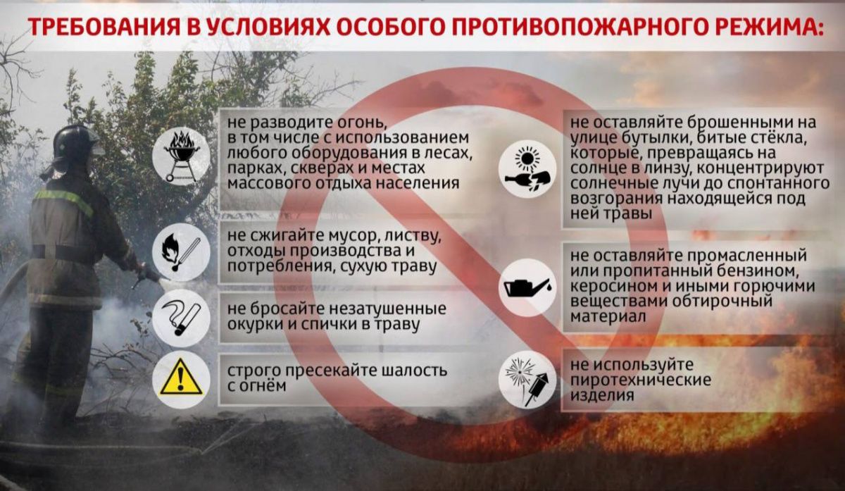 С 15 июля в Севастополе введут особый противопожарный режим