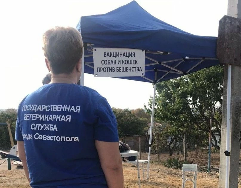 На следующей неделе севастопольцы смогут обследовать и провакцинировать домашних животных