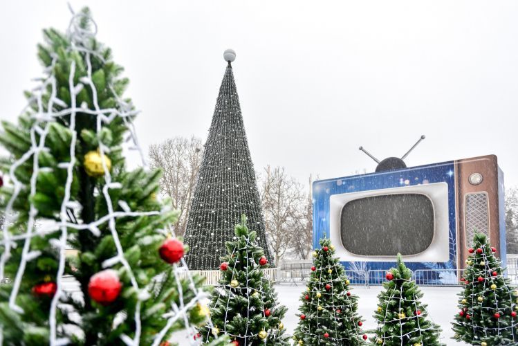 Губернаторские елки в этом году впервые пройдут в селах
