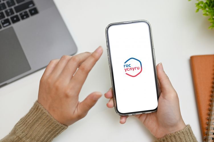 На Госуслугах доступна информация о наличии объектов культурного наследия на земельных участках