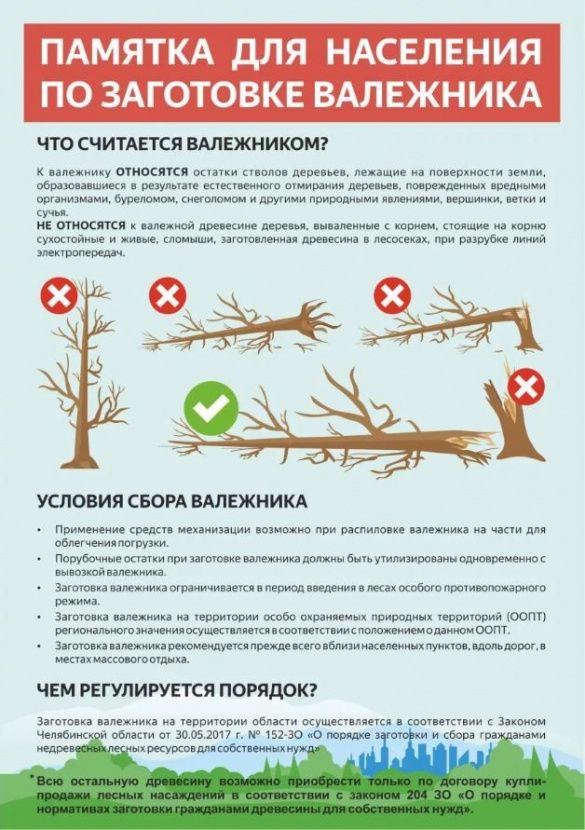 Памятка для граждан, осуществляющих заготовку и сбор валежника для собственных нужд