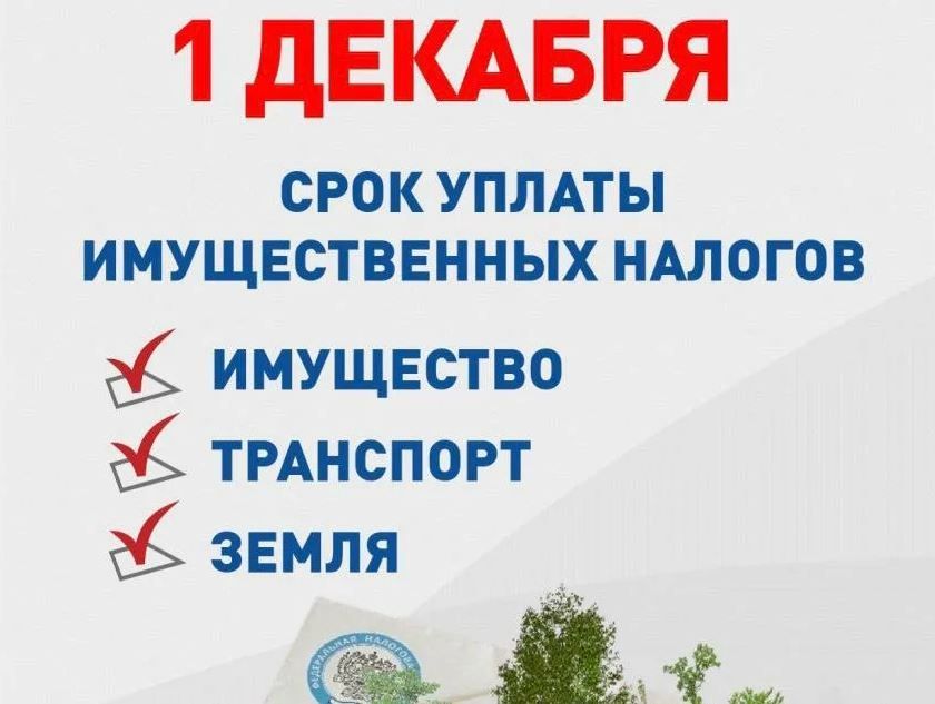 Об уплате имущественных налогов в 2022 году