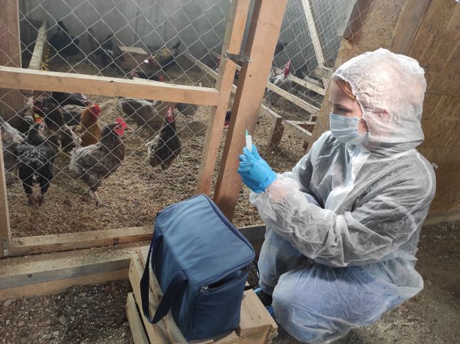 Государственная ветеринарная служба вакцинировала более 1200 животных в августе