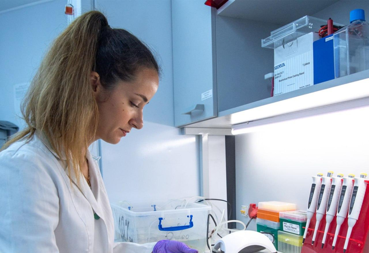 В Севастополе дополнительно поддержат молодых ученых