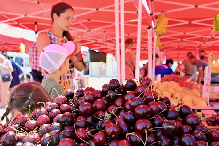 Стартовала большая продовольственная ярмарка «Летняя»
