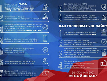 Предварительное голосование 2021