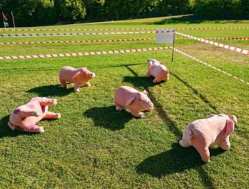 В Севастополе проходят межрегиональные учения по ликвидации условного очага особо опасной инфекционной болезни животных