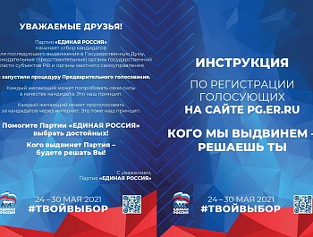 Предварительное голосование 2021