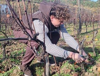 Молодые специалисты выбирают работу в сельском хозяйстве