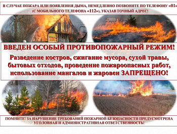 С 15 июля в Севастополе введут особый противопожарный режим