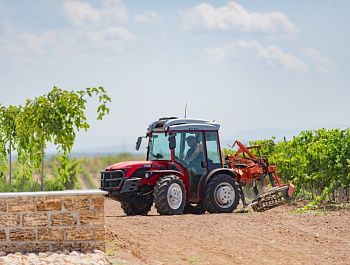 От саженца до энотуристического центра: в Севастополе помогают малым предприятиям отрасли виноградарства и виноделия