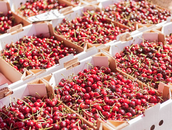 Ярмарка «Севастопольская» открылась