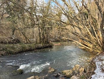 Севприроднадзор контролирует соблюдение режима на особо охраняемых природных территориях Севастополя