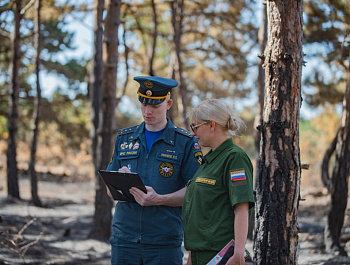 Спасая лес от огня: в Севастопольском лесничестве идут профилактические рейды