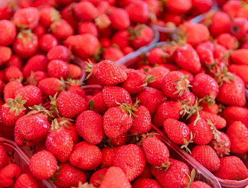 Ярмарка «Севастопольская» открылась