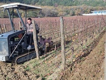 Молодые специалисты выбирают работу в сельском хозяйстве