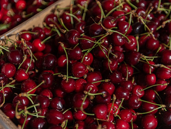 Ярмарка «Севастопольская» открылась