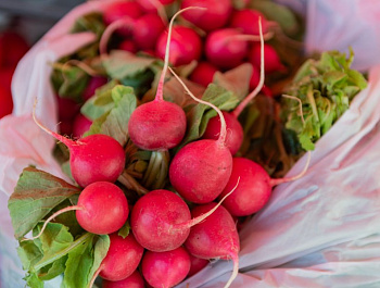 Ярмарка «Севастопольская» открылась