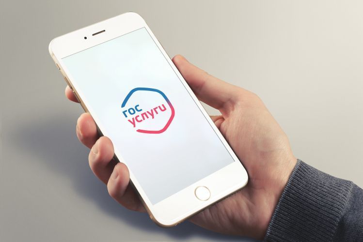 Получить градостроительный план земельного участка можно через Госуслуги