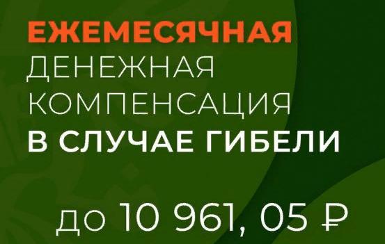 Ежемесячная денежная компенсация в случае гибели