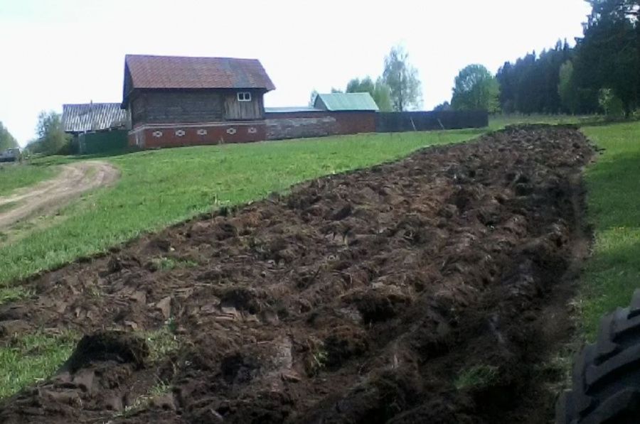 Лица, использующие земельные участки, примыкающие к лесному фонду, обязаны исполнять требования пожарной безопасности