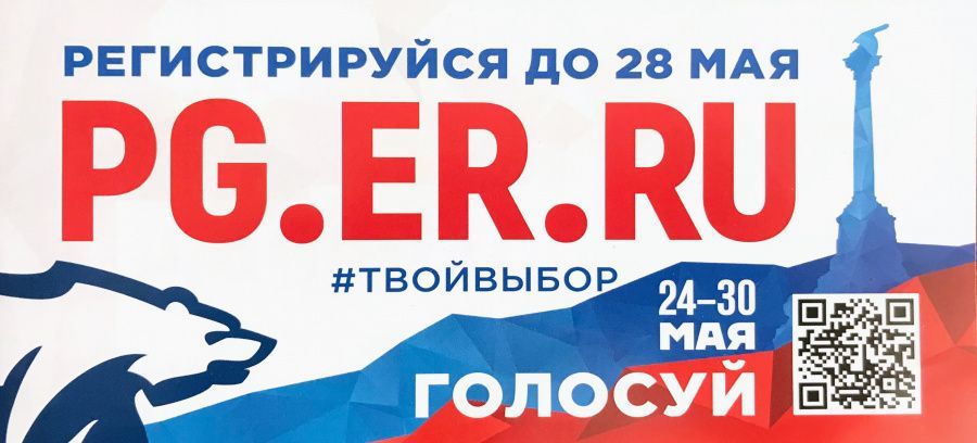 Предварительное голосование 2021