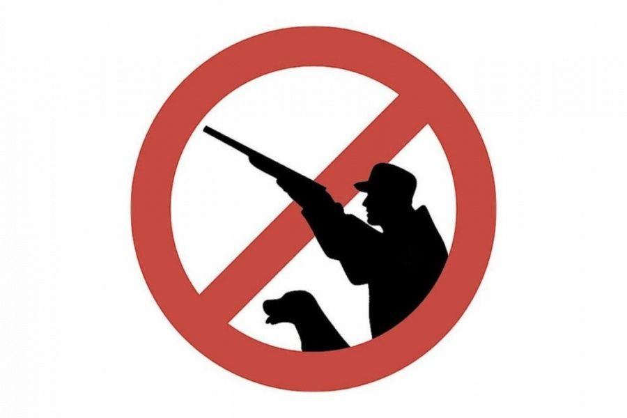 О запрете охоты на территории Севастополя