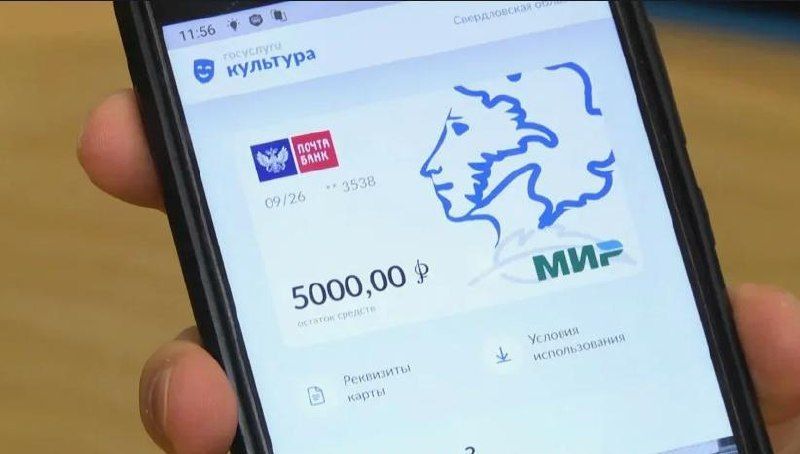 В этом году севастопольцы получили 18 тысяч Пушкинских карт