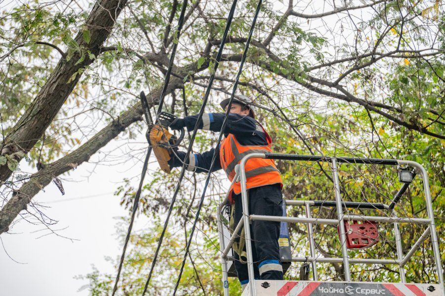 «Горсвет» расчищает охранные зоны линий электропередачи