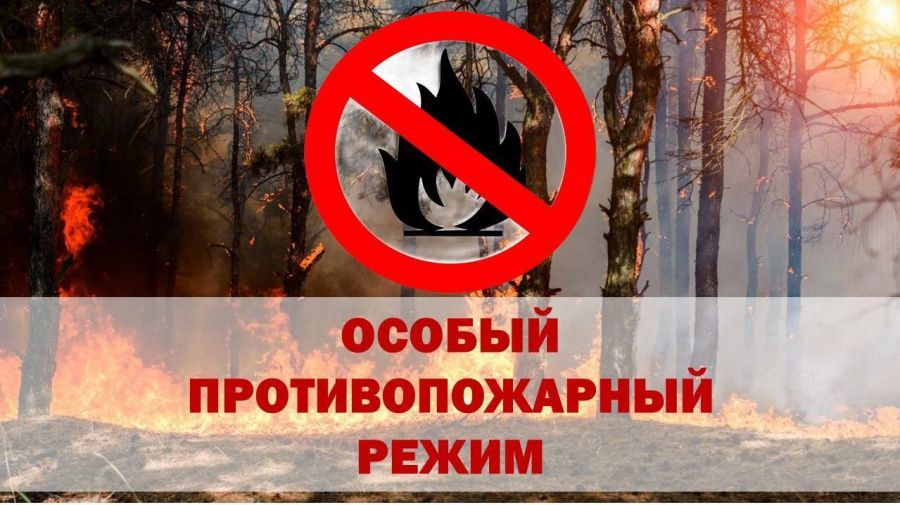 С 15 июля в Севастополе введут особый противопожарный режим