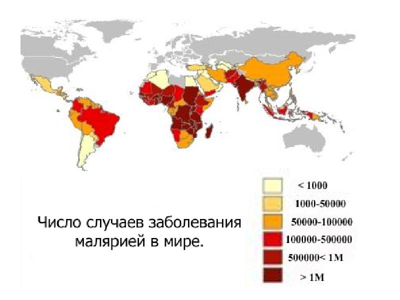 О маляриологической ситуации в Российской Федерации в 2025 году