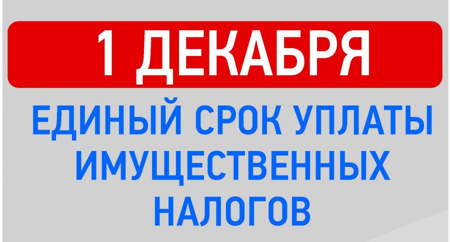 1 декабря 2021 года истекает срок уплаты имущественных налогов физических лиц