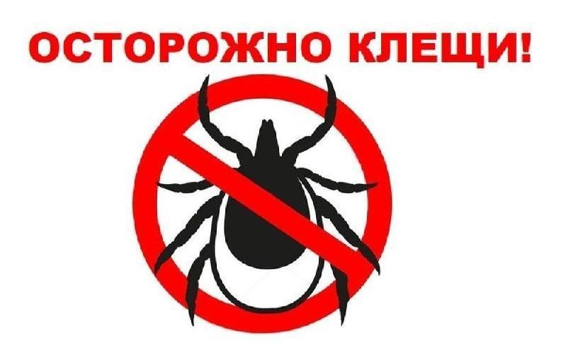 Роспотребнадзор напоминает: клещи остаются опасными осенью Роспотребнадзор напоминает: клещи остаются опасными осенью