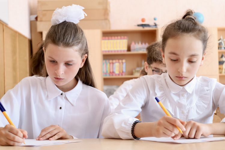 Одаренные дети Севастополя могут претендовать на городские стипендии