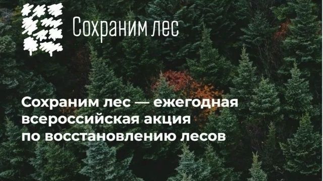 В этом году Севприроднадзор высадит свыше 7 тысяч лесных деревьев