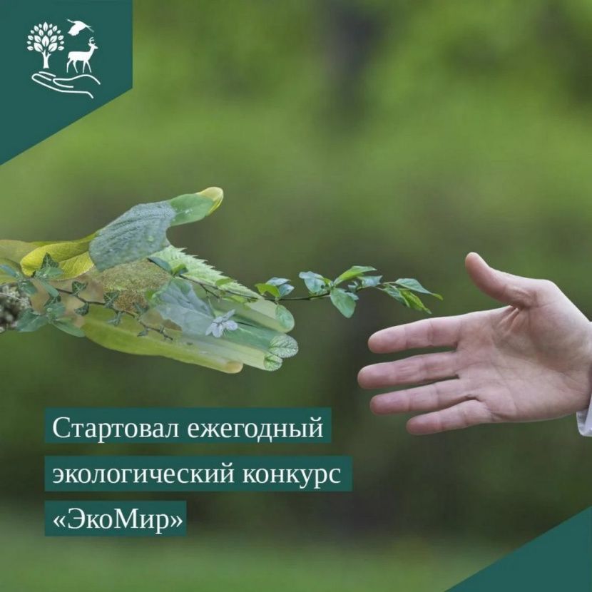 Стартовал Международный экологический конкурс «ЭкоМир-2026»