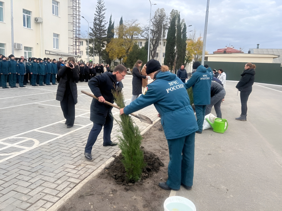 Севастопольские школьники высадили аллею кипарисов в память об участниках спецоперации