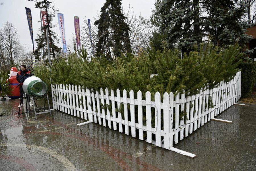 В Севастополе открылись ёлочные базары