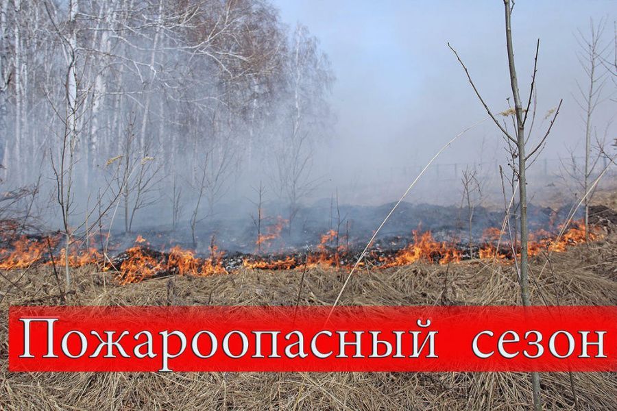 С 25 апреля в Севастополе возобновится пожароопасный период