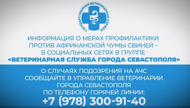 Управление ветеринарии напоминает о мерах профилактики африканской чумы свиней