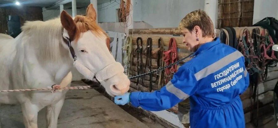 Государственной ветеринарной службе Севастополя исполняется 145 лет