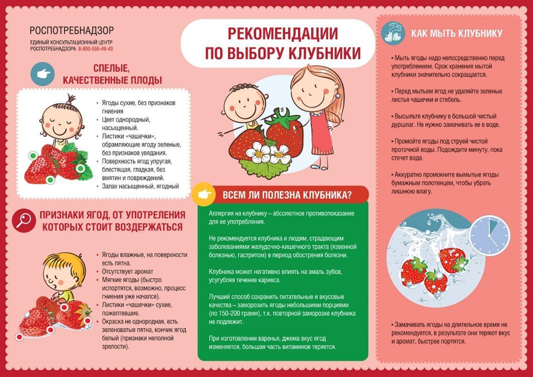 КАК ВЫБРАТЬ КЛУБНИКУ КАК ВЫБРАТЬ КЛУБНИКУ
