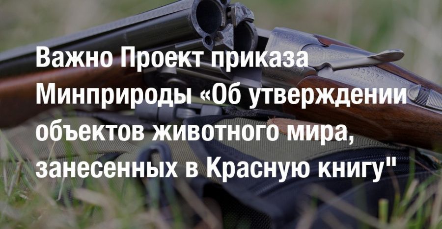 Информация об ответственности за уничтожение редких и находящихся под угрозой исчезновения видов животных, занесенных в Красную книгу Российской Федерации